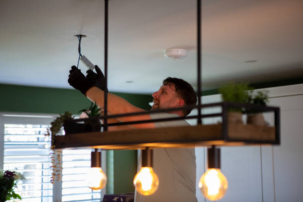 Best Outdoor Lighting Installation  in Coloma, MI