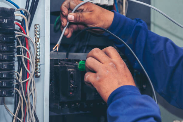 Best Electric Panel Repair  in Coloma, MI